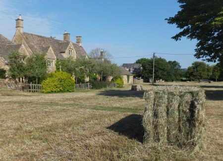 HAY MAKING ON THE VILLAGE GREEN IN WYCK RISSINGTON